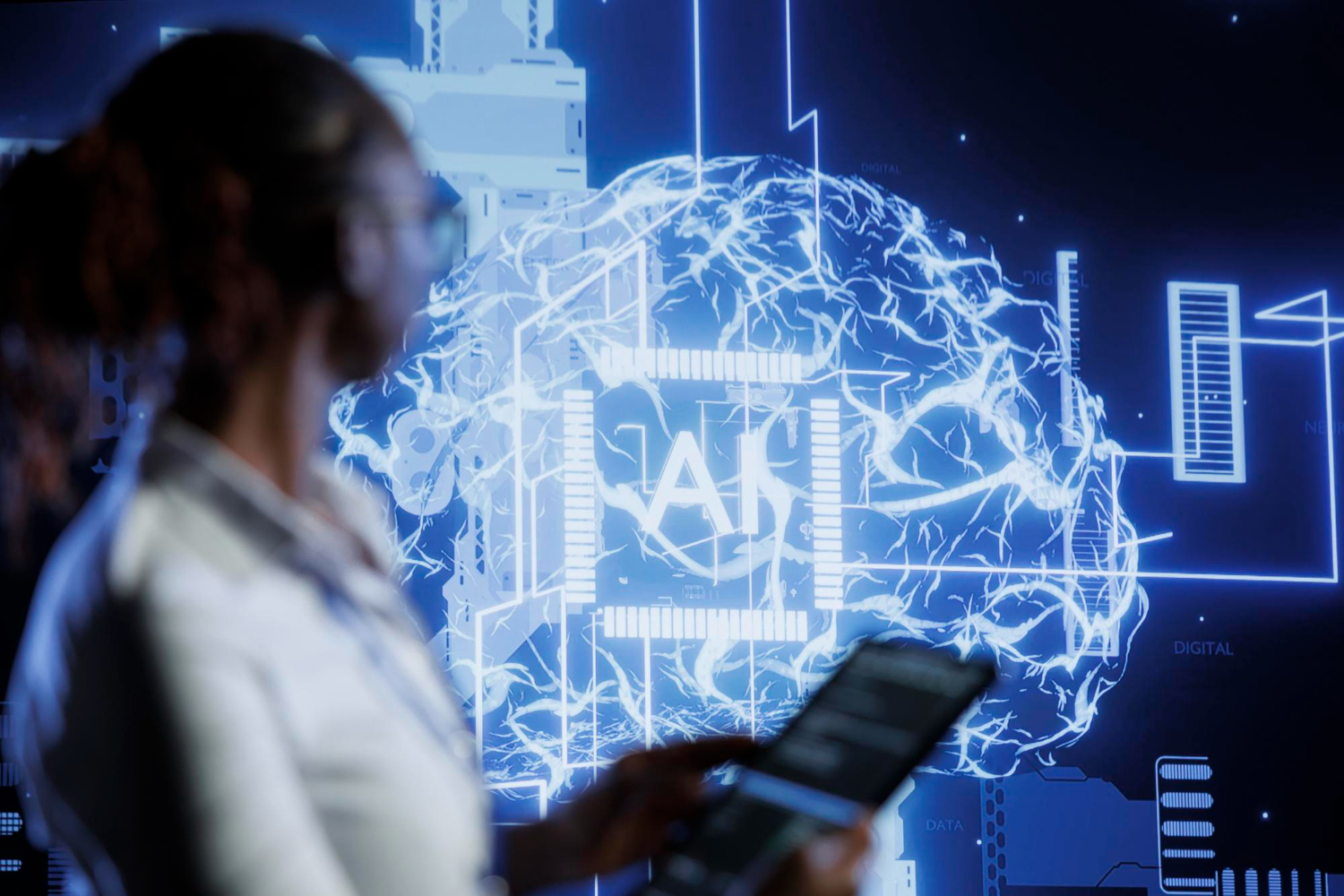 AI in Public Administration